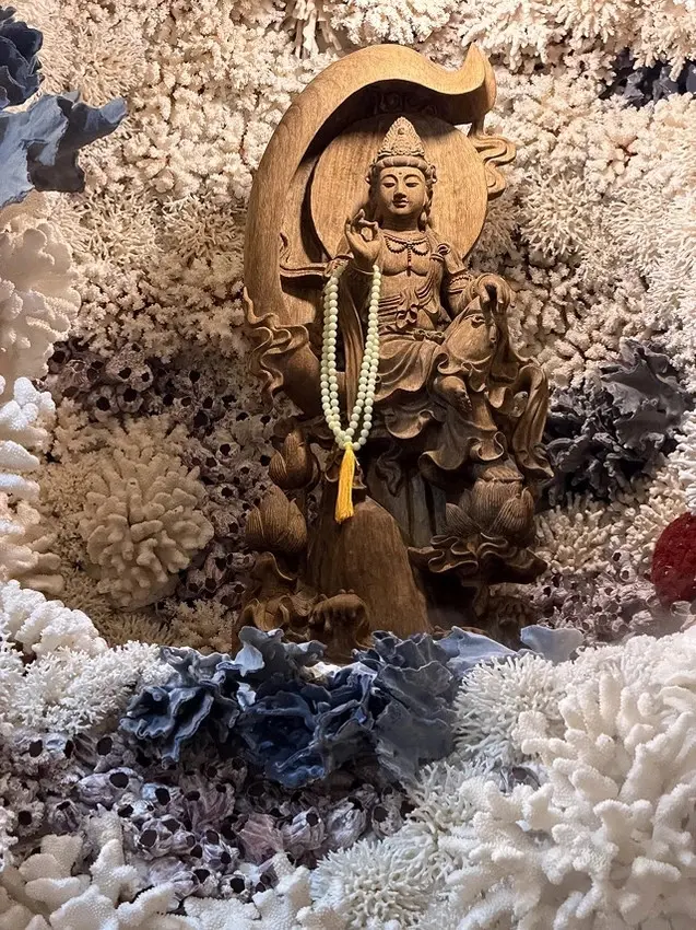 2025從粉紅花海走進海底龍宮，我的淡水奎柔山路(北8)美人