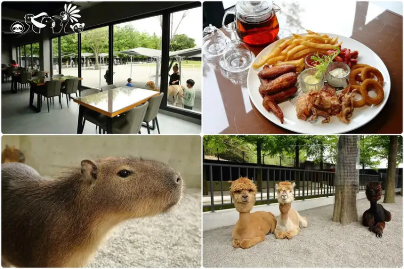 張美阿嬤農場2.0版，宜蘭全新萌寵景觀餐廳【樹懶餐廳】，玻璃屋近距離看到泰迪羊動物們！