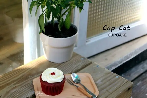 【忠孝敦化站】Cup Cat CUPCAKE 杯子貓杯子蛋糕~東區可愛迷你蛋糕店