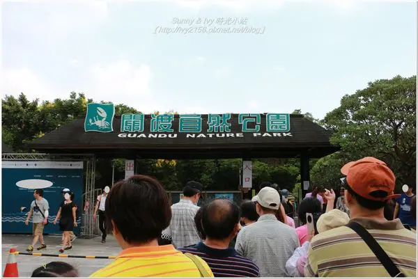 【台北關渡遊記】關渡自然公園。北台灣賞鳥天堂