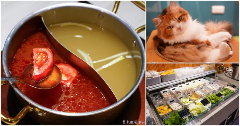 宜蘭羅東火鍋必吃推薦！伊熹鍋物超萌貓咪陪吃超療癒，蔬菜自助吧吃到飽。