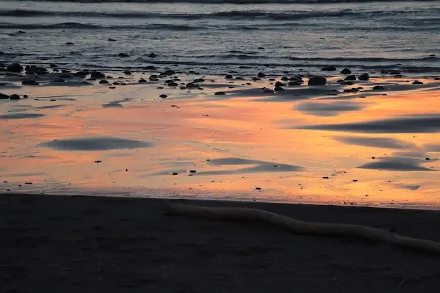 新屋濱海林蔭沙洲 (西濱公路) - 夕陽 - 沙灘
