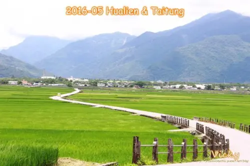 2016親子遊記:台東~伯朗大道‧J-4Y10M&A-3Y3M