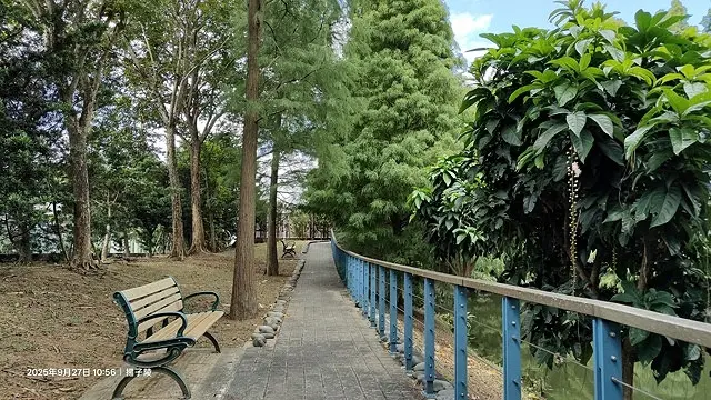 2025桃園長庚養生村落羽松最新現況分享，9/27現場直擊，