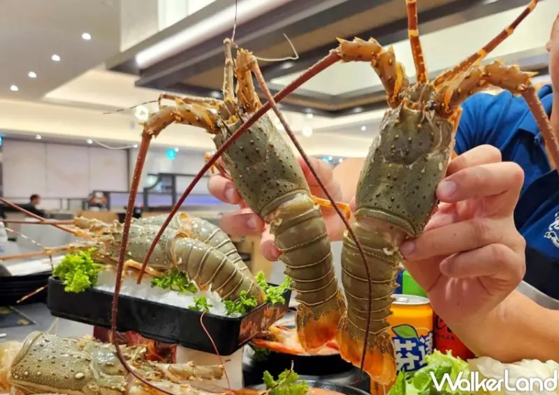 10元壽星免費吃龍蝦！千葉火鍋哈根達斯吃到飽，10月壽星開鍋送龍蝦。