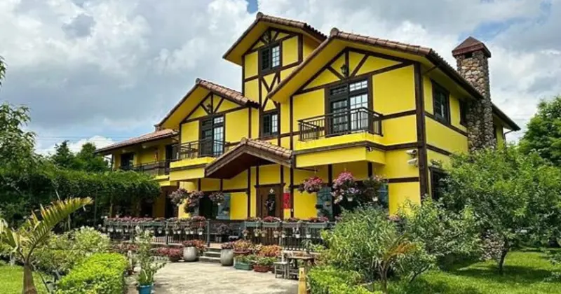 桃園大溪景觀咖啡廳！南法風情黃色小屋咖啡莊園，早午餐下午茶首選。