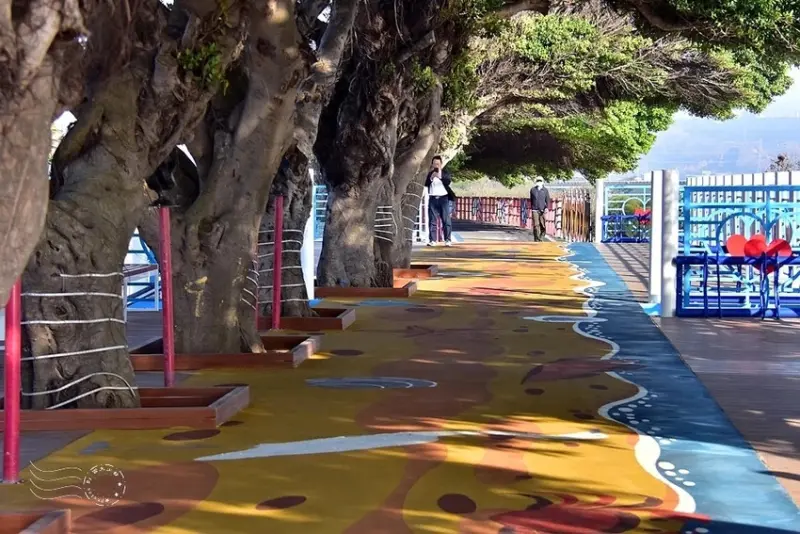 【麗水漁港】海堤步道