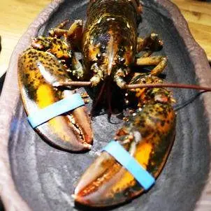 【食記】慶生大推薦。愛新覺羅。賓至如歸的感受。海陸大餐爽吃活龍蝦