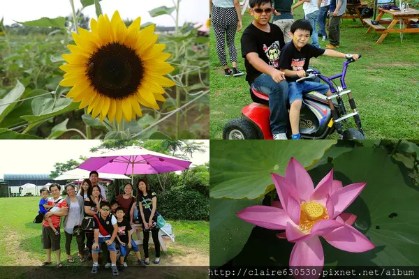 {桃園} 向陽農場，無料入場