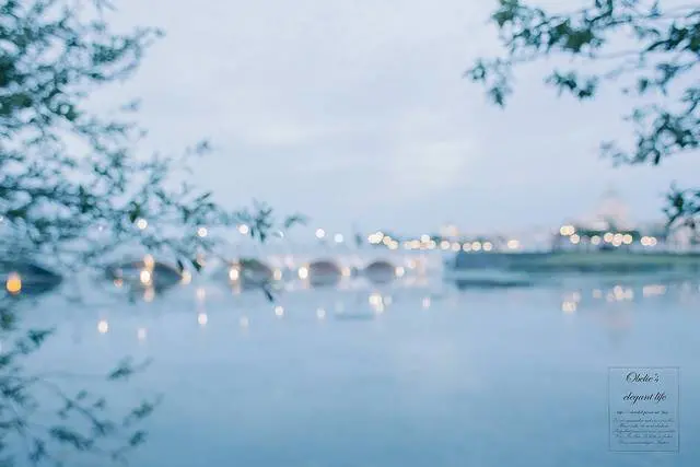 台南✿|三天兩夜必訪|奇美博物館(拍攝絕美位置大公開)、眼鏡仔炒鱔魚意麵、茶都里