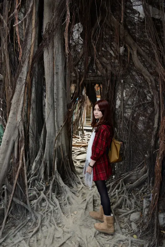 ◈台南◈ⓜ安平樹屋ⓜ