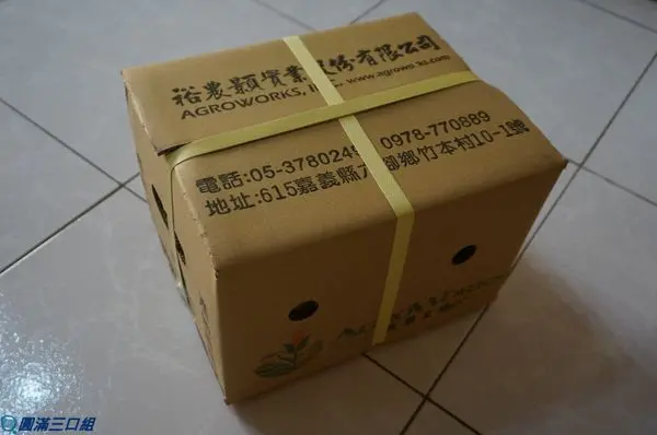 【初體驗】北海道水果牛奶玉米＠有著18度的超激甜 啃上一口就有滿滿感動 