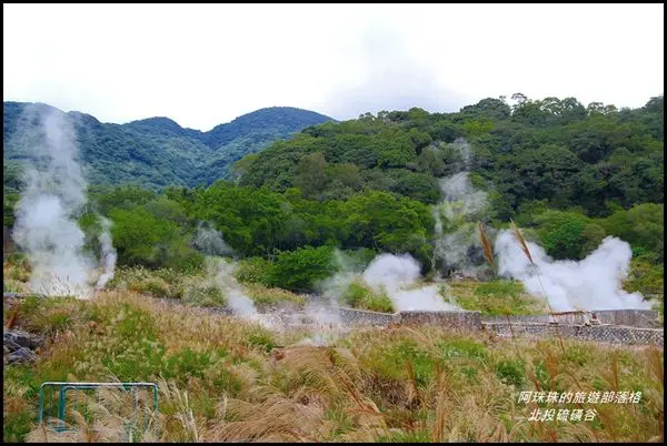 台北。硫磺谷賞芒。七星山登高。花藝村泡湯一日遊