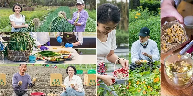 【花蓮美食旅遊】秧悦美地度假酒店生態.料理體驗.自己的蔥自己拔，自己的花茶自己摘