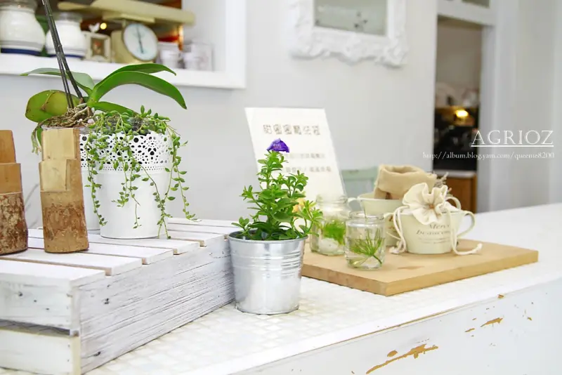 橘之鄉蜜餞形象館。哈密瓜的玻璃牆