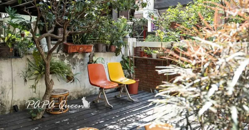 台中老宅咖啡廳！知汐咖啡甜點鹹食都有，寵物友善空間。