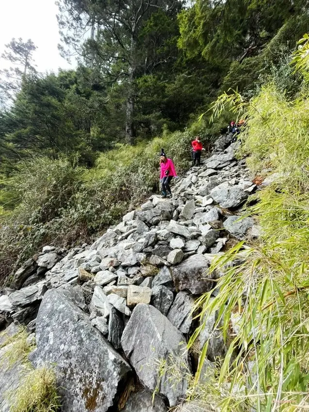 【百岳】玉山前峰(二刷)一日單攻《 3個小隊友(3歲7歲