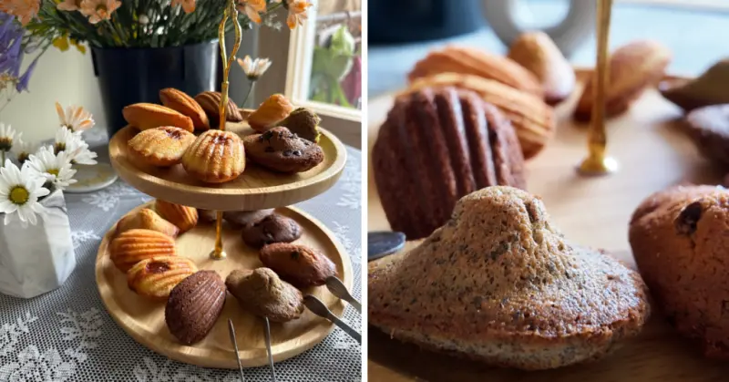 屏東伴手禮推薦｜沐上甜點中秋禮盒必收！16種瑪德蓮與鹹蛋黃布列塔尼酥餅