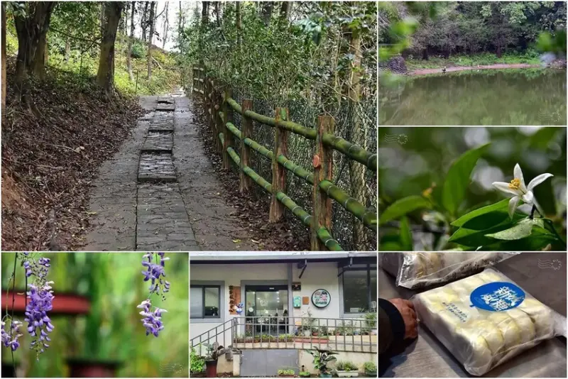 新竹寶山:新城村