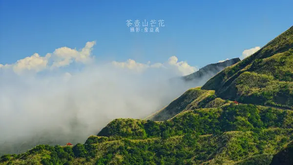 【金瓜石】秋高氣爽漫步山間，無耳茶壺山層層芒花，102線道不厭亭