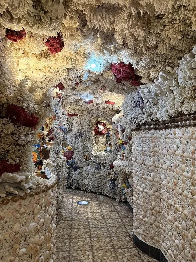 2025從粉紅花海走進海底龍宮，我的淡水奎柔山路(北8)美人