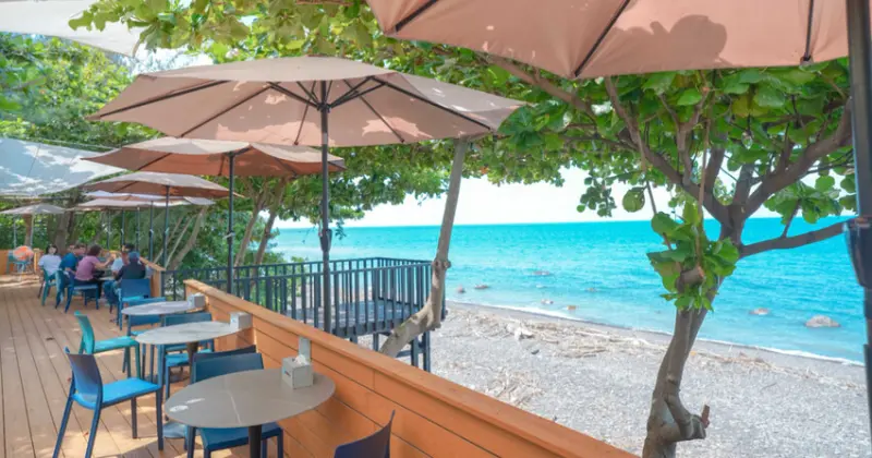 屏東枋山海景咖啡新開幕！枋野秘境海景咖啡最美屏鵝公路，低消100元超值。