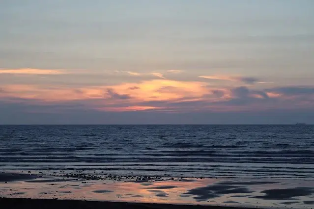 新屋濱海林蔭沙洲 (西濱公路) - 夕陽