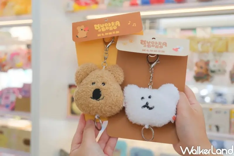 7-11 DINOTAENG主題店！短尾矮袋鼠主題小七，QUOKKA和BOBO限定杯套要搶。