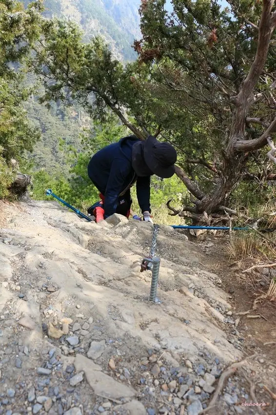 【百岳】玉山前峰(二刷)一日單攻《 3個小隊友(3歲7歲