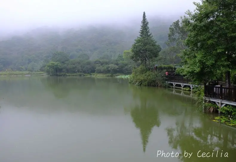 【苗栗。南庄鄉】常年霧氣瀰漫白雲縹緲，猶如人間仙境般的『向天湖』，那靈秀的氣質，居然可以美的如此不真實。