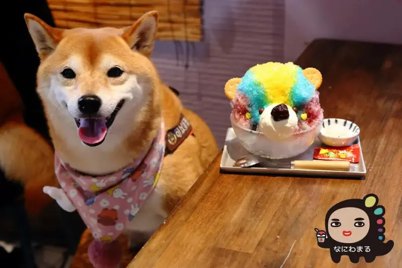 浪花丸かき氷 宜蘭本店，招牌彩色小熊刨冰和藍色富士山冰，可愛