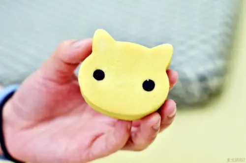 來侯硐看貓咪，不買幾隻貓咪回去真的過意不去！！ -- 侯硐貓村