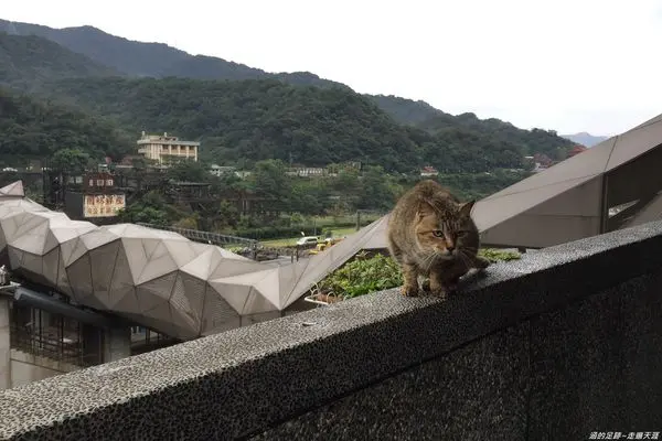 [遊記] 新北市瑞芳 - 猴硐 ● 貓村 ~ 滄桑的煤礦小鎮, 因