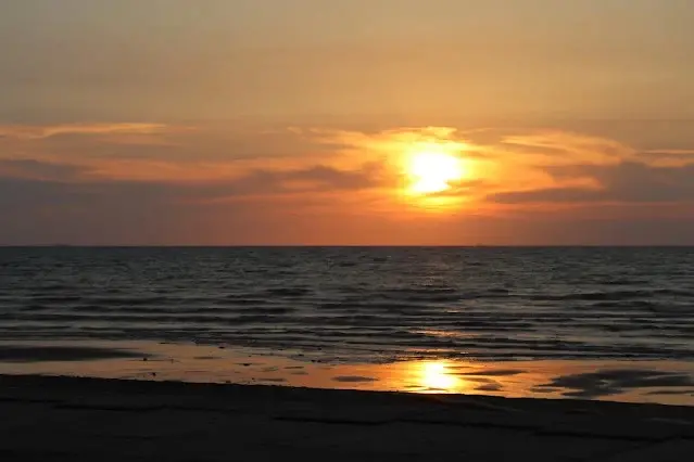 新屋濱海林蔭沙洲 (西濱公路) - 夕陽