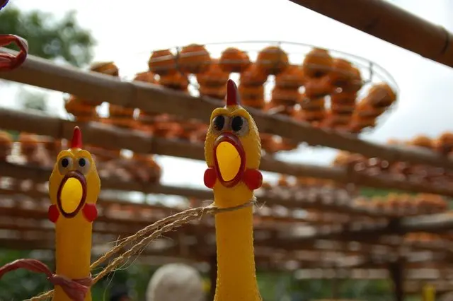 [遊記] 新竹新埔 九降風吹起的金黃柿海 味衛佳柿餅觀光農場