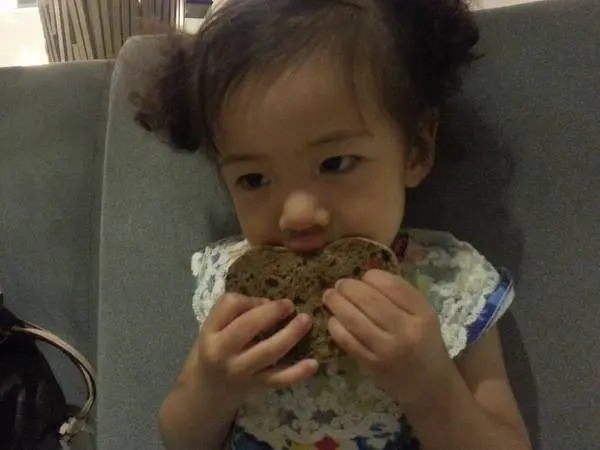 [嘉義][美食]舒醒文創藝術餐廳~自然蔬食美味新主張              