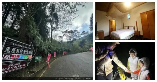 南投必去秘境！鳳凰‧森之鳴享健康美食，賞茶花、櫻花，沉浸森林芬多精！