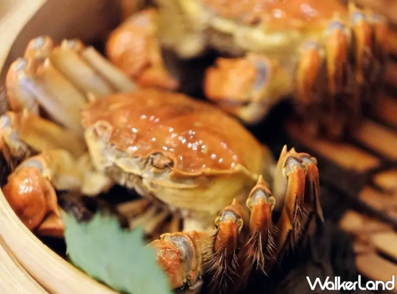 2025台北9大秋蟹美食地圖！清蒸大閘蟹、奢華帝王蟹與濃醇沙公，優惠套餐與訂位資訊一次看。