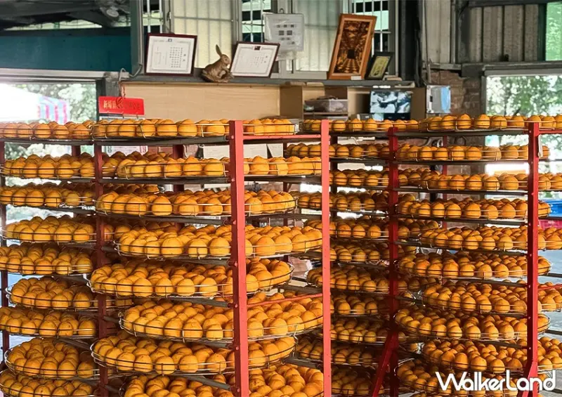 新竹柿餅一日遊！柿代相傳 柴燒柿餅超推、在地人買這間，錯過只能等明年。