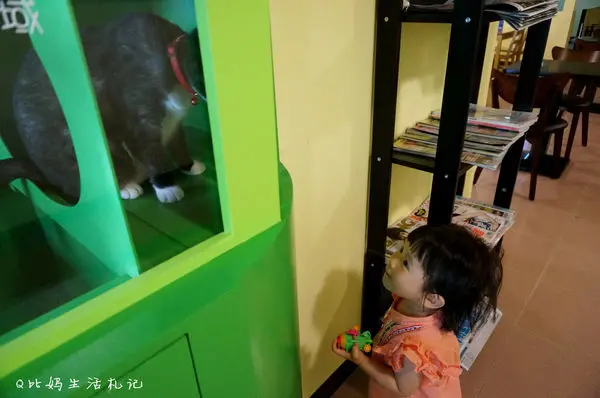 <親子友善餐廳> 小孩與貓咪在巷弄裡的邂逅，隱藏著簡單幸福的小美味 @新北市板橋 ღ 樂貓輕食坊