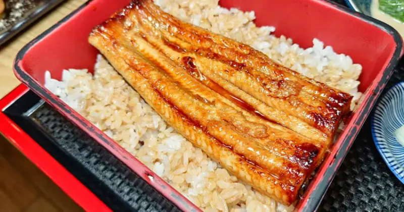 台中市西區台中日式料理推薦｜一鰻美村匠人味自慢,超值日料套餐,還有鰻魚三吃