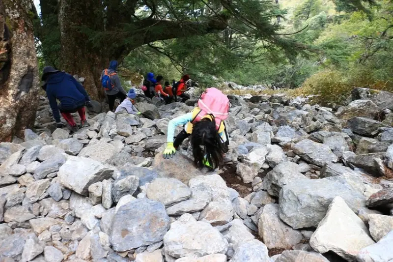 【百岳】玉山前峰(二刷)一日單攻《 3個小隊友(3歲7歲