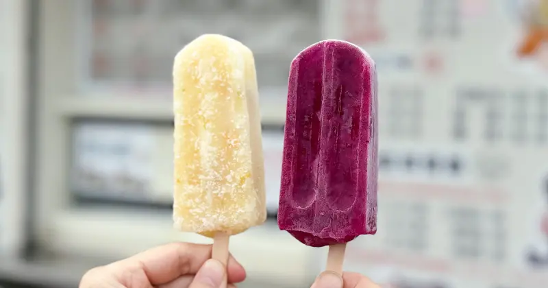 宜蘭冰店推薦！蘭陽電廠冰棒 最低12元、每年只賣6個月，招牌水果冰棒必吃。