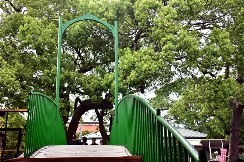 月眉糖廠:百年樟樹