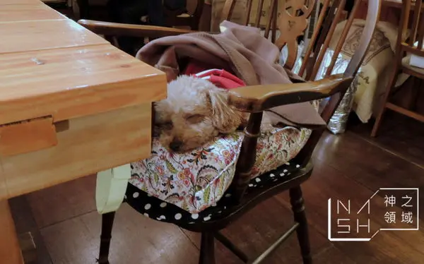 [捷運台北車站美食] Nash 吃 慢動作咖啡店 會讓人捨不得離開的手沖咖啡店