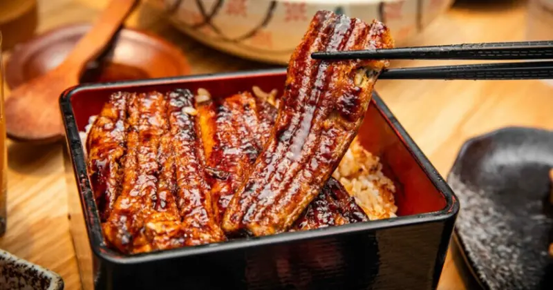 南港鰻魚飯霸主！板前屋炭烤鰻魚飯，無刺脆皮白燒鰻魚飯必吃。