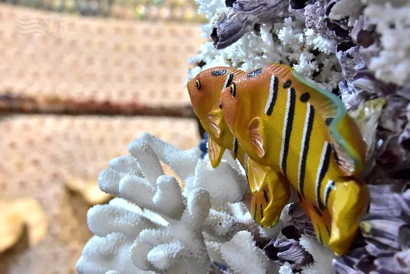 【石門珊瑚貝殼廟】十八羅漢洞