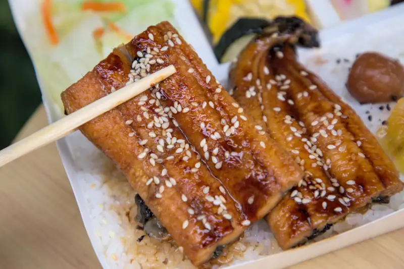 紅蕃茄鰻魚飯，蒲燒鰻魚的特寫，魚皮烤得焦香，魚肉Q彈緊實，表面覆蓋著濃郁醬汁和白芝麻，展現出絕佳的烹調工藝。