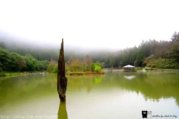 【宜蘭。大同】北橫明珠。明池國家森林遊樂區。明池山莊