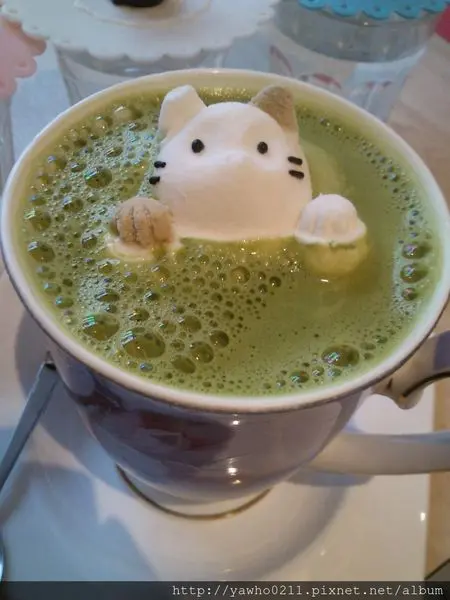 [台中|西區]貓爸寵物餐廳★★貓咪陪你吃中餐 ※夏季限定泰式酸辣牛肉湯※